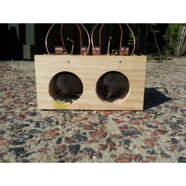 https://www.webshophousehold.com/tienda/89-611-thickbox/wooden-mouse-traps-holes.jpg